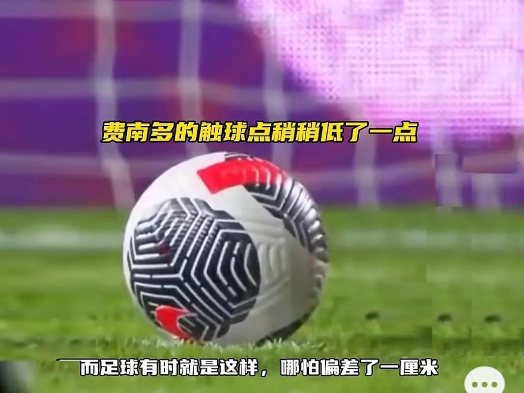 教练与其所