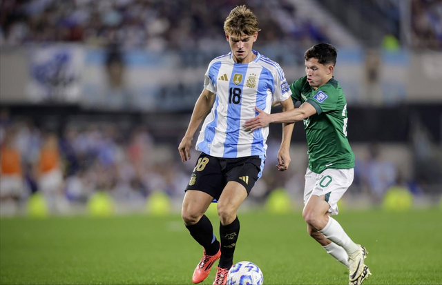 篮板保护 篮板保护