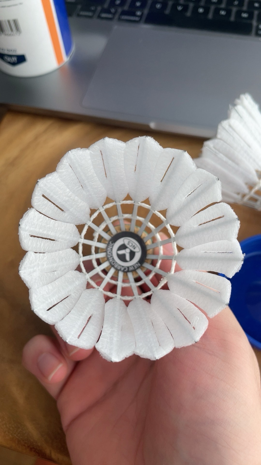 现在则在关 现在则在关